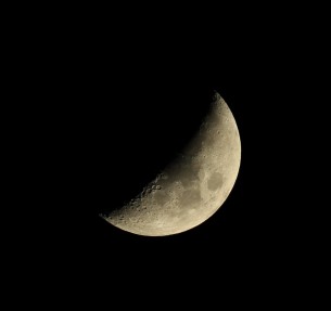 Half Moon at home- Surrey, UK